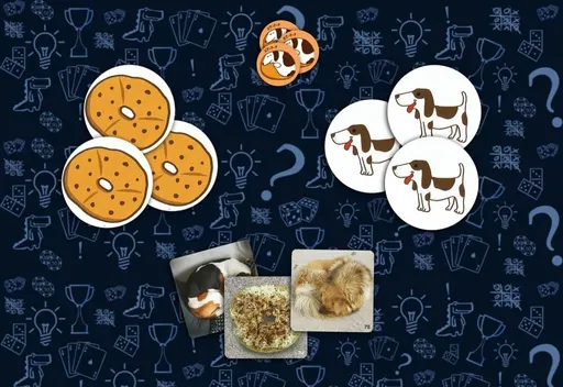 Нескольковариантов игр в Бобик или бублик  (rolethedice.ru Бросьте Кости)