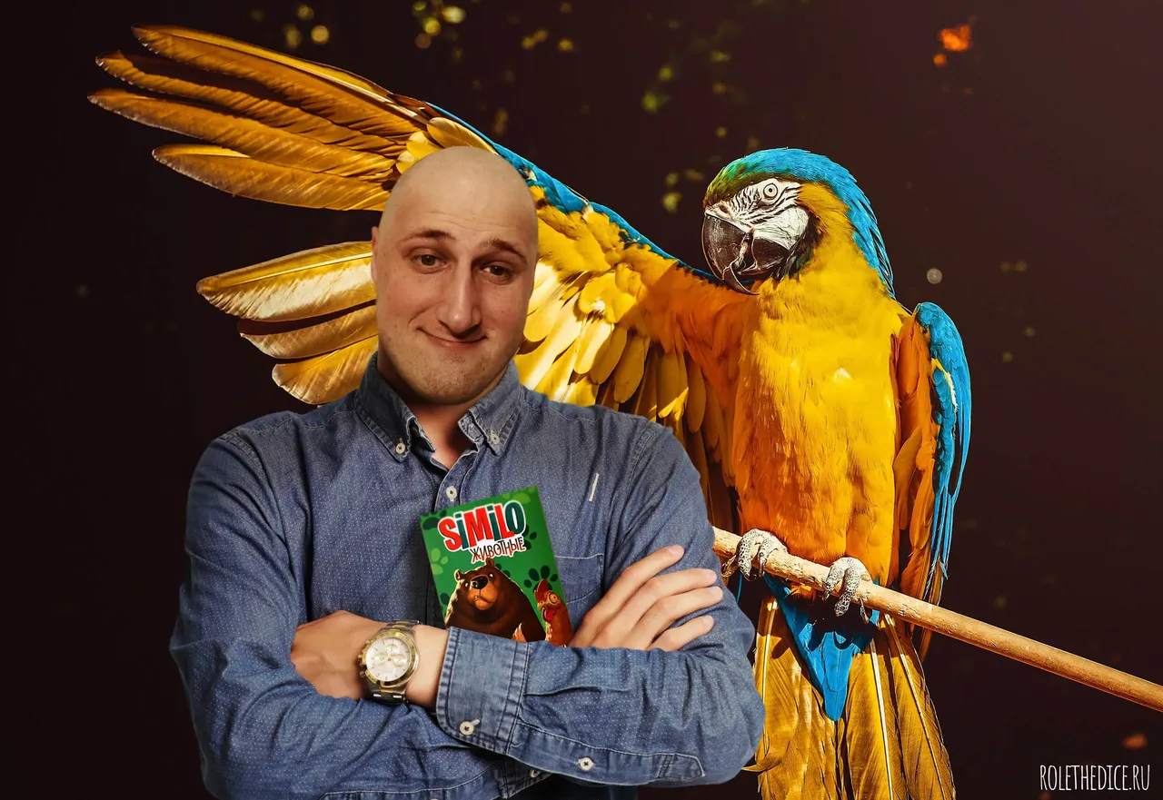 Similo Животные настольная игра.