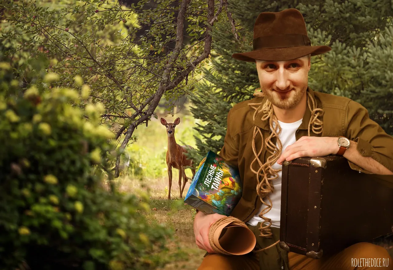 Лесные тайны настольная игра