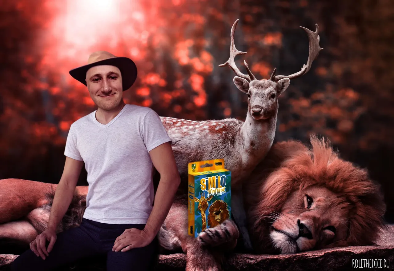 Similo Зоопарк настольная игра.